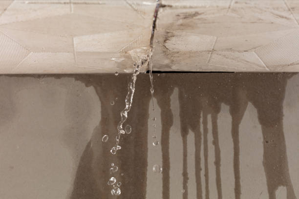 Professional Structural Drying technician working in Staples, MN